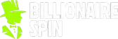 billionairespin-fr.ltd